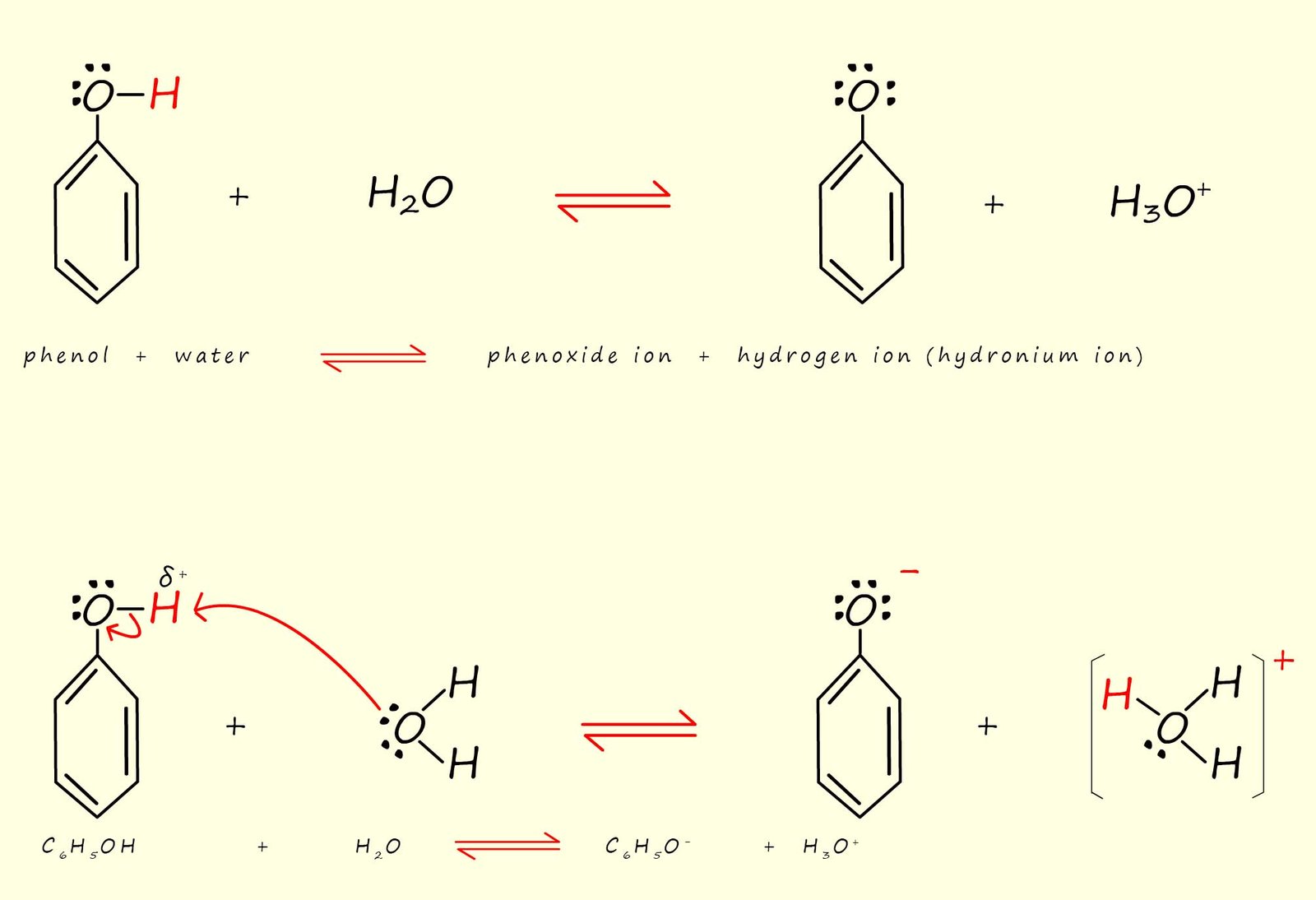 Equations to show the products formed when phenol dissolving in water, phenoxide ion and a hydronium ion or hydrogen ion.